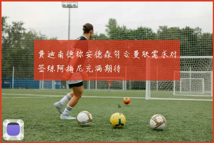 费迪南德称安德森符合曼联需求对签琼阿梅尼充满期待